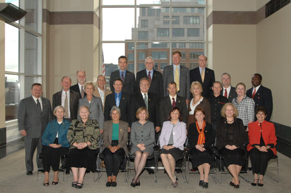 2008 RAPS Fellows